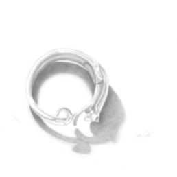 Cat Metallic Ring (graphite 9x12)